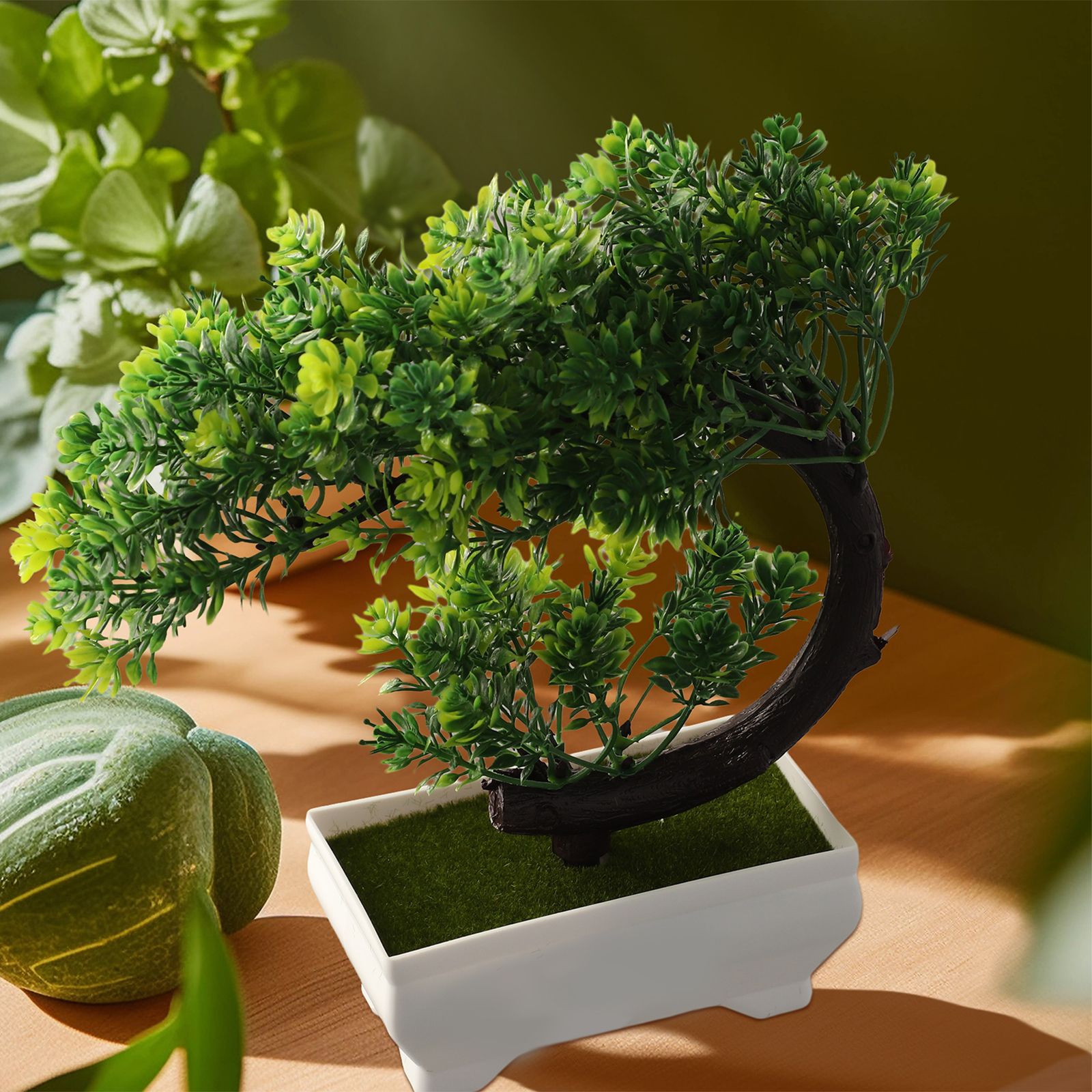 Bonsai Garden For Desk - Adorno de bonsái en maceta de