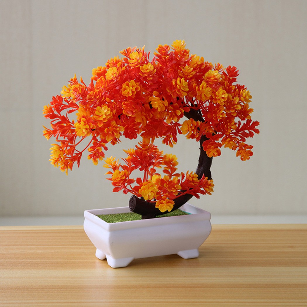 Adorno de bonsái en maceta de  - Bonsai Garden For Desk reseña y precio