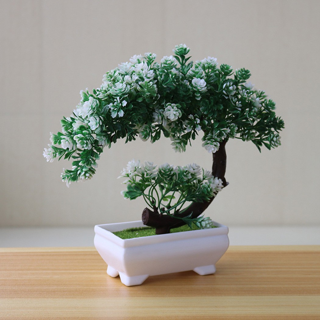 Adorno de bonsái en maceta de  - Bonsai Garden For Desk reseña y precio