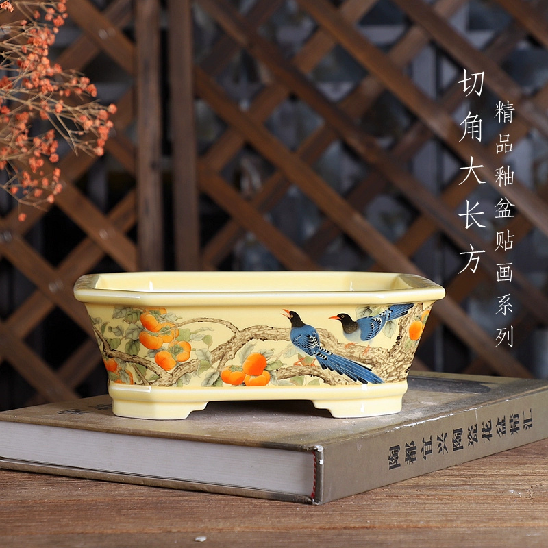 Maceta para bonsái rectangular - Bonsai Garden For Desk reseña y precio