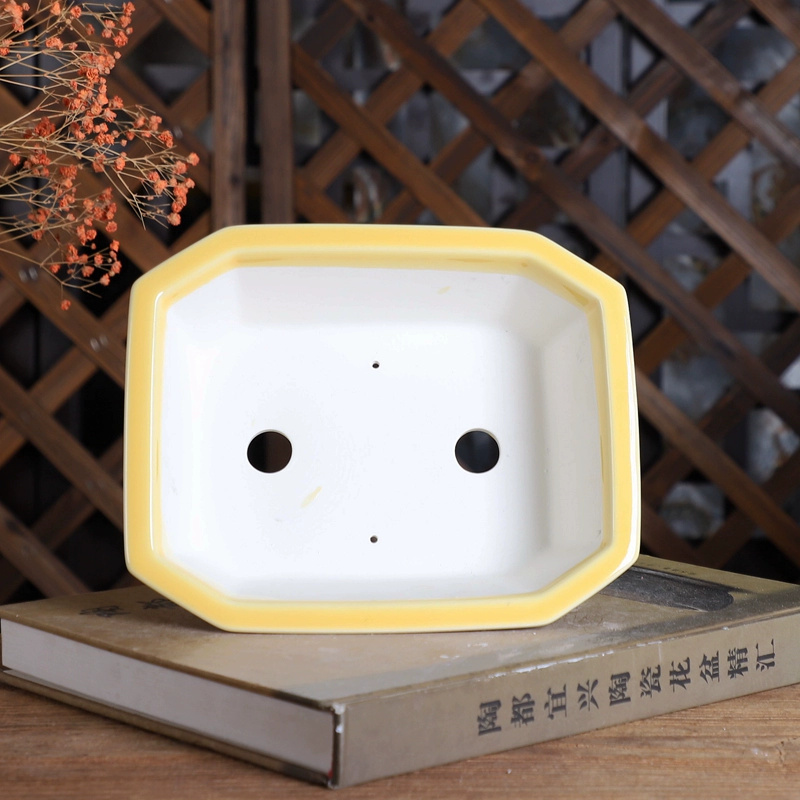 Maceta para bonsái rectangular - Bonsai Garden For Desk reseña y precio